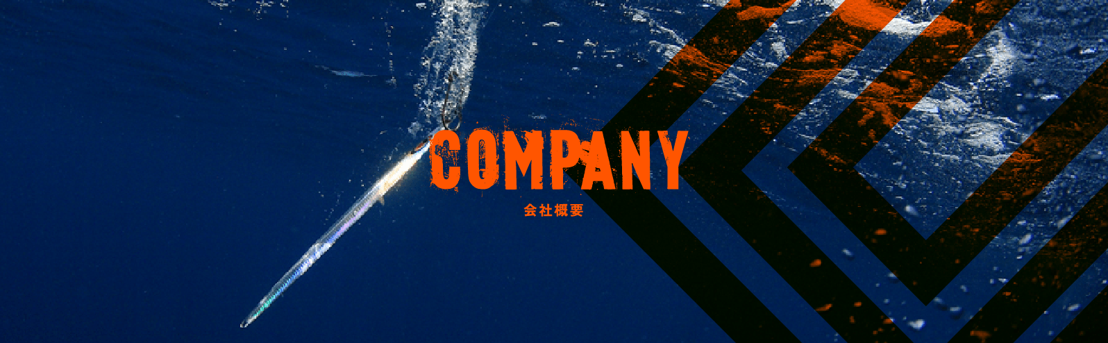 COMPANY  Seafloor Control Official Website